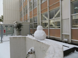 IMG_9350.JPG