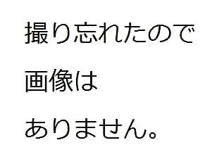 7/11 薬物乱用ダメゼッタイ教室を行いました