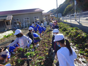 11月18日(木)清掃活動