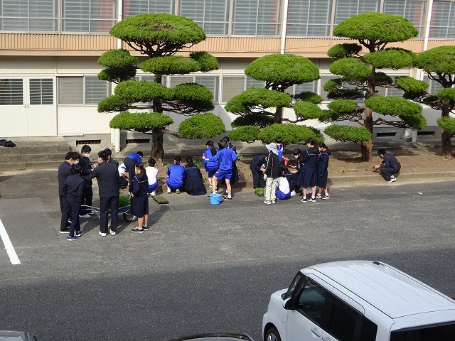11/18 生徒会が花壇に苗を植えました