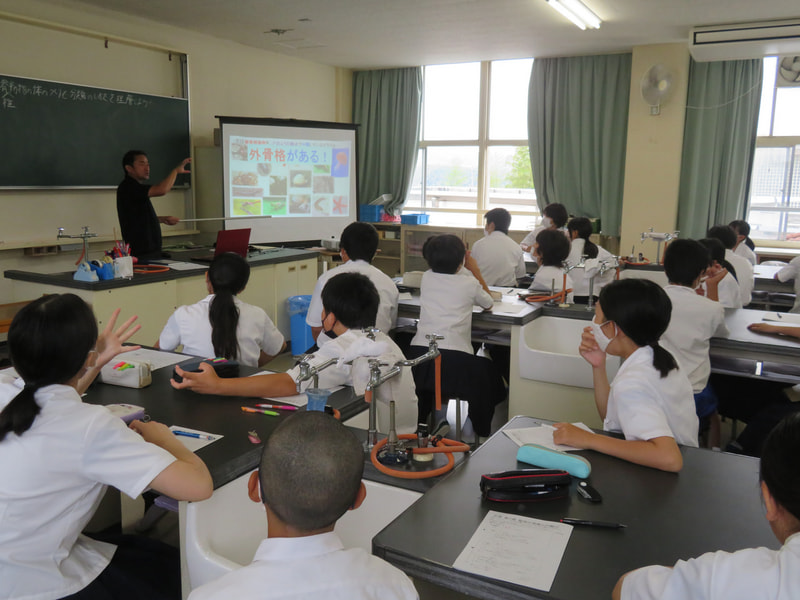 6月11日(火) 1年生:理科の授業の様子