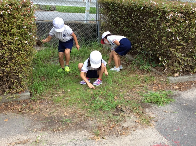 2年除草４.JPG