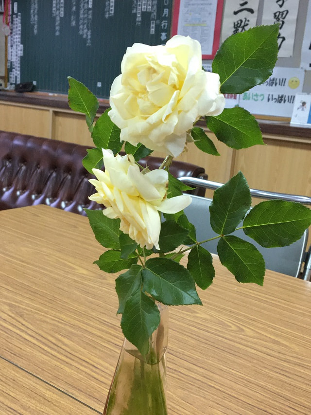 200605005.JPG