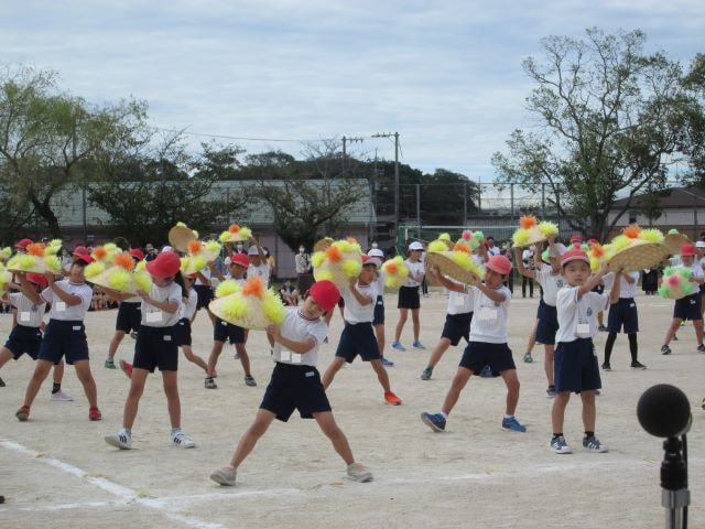 2010101745.JPG