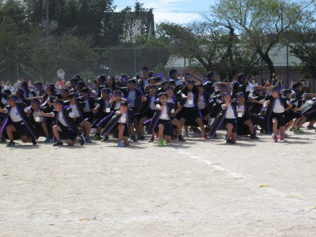 2010101776.JPG