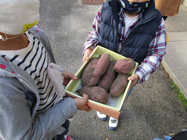 2011274.JPG
