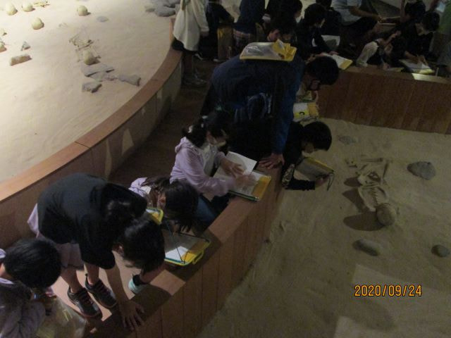 IMG_1461.JPG