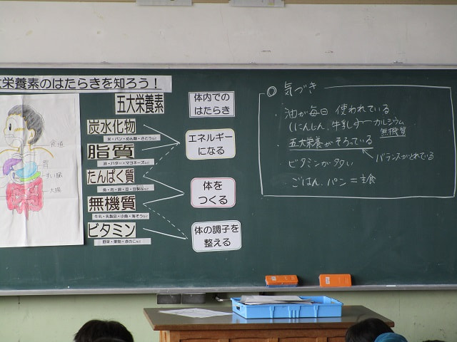 食事の大切さを再確認!!5大栄養素の学習