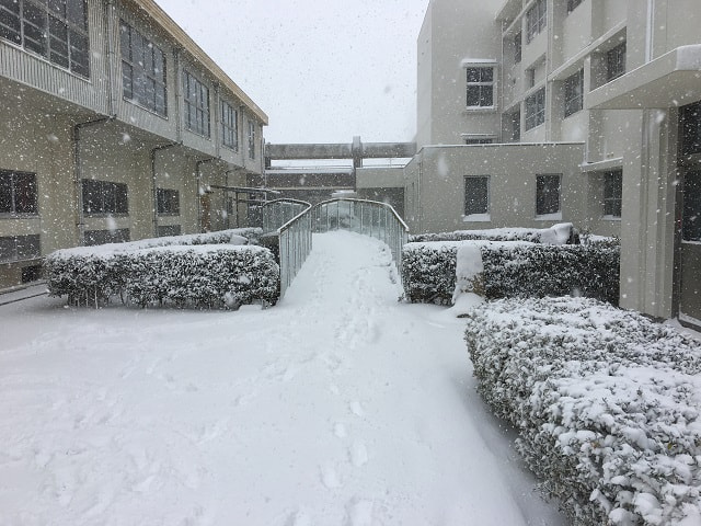 子どもたちは大喜び!!