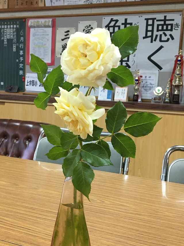 校長室が明るくなりました!!