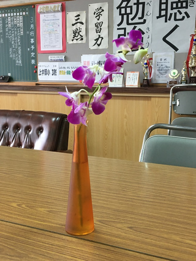きれいな花をありがとう!!