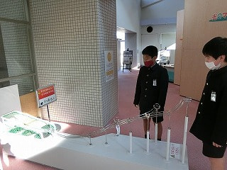 CIMG0335.jpg