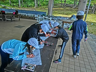 CIMG0885.jpg