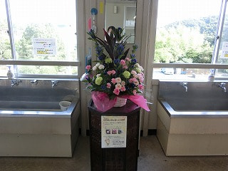 CIMG7812.jpg