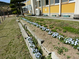 CIMG8481.jpg