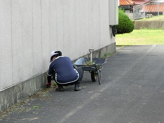 CIMG8978.jpg