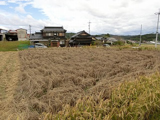 CIMG9232.jpg