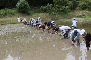 IMG_0165.jpg