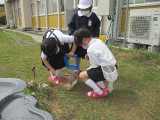 IMG_0481.jpg