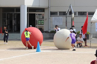 IMG_0596.jpg