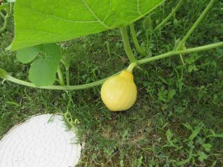 IMG_0673.jpg