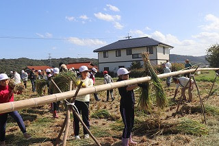 IMG_0981.jpg