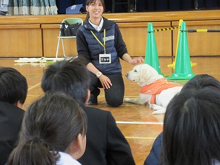 IMG_1184.jpg