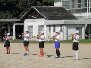 IMG_1256.jpg