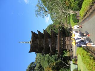 IMG_1743.jpg