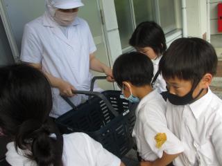 IMG_2174.jpg