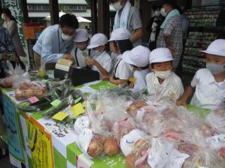 IMG_2493.jpg