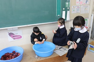 IMG_2887.jpg