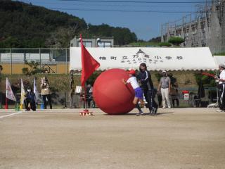IMG_3254.jpg