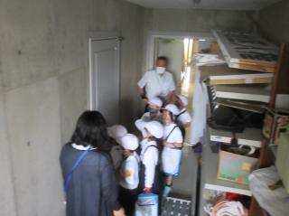 IMG_3996.jpg