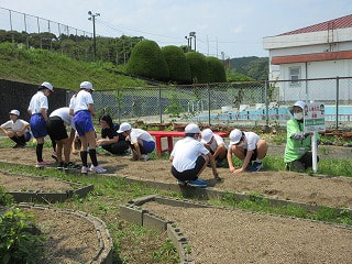 IMG_4457.jpg