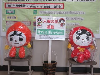 IMG_4480.jpg