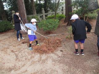 IMG_4574.jpg