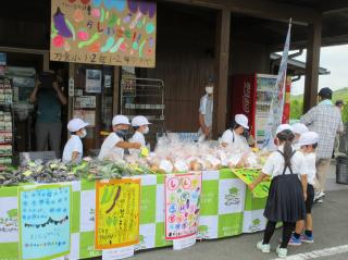 IMG_4847.jpg