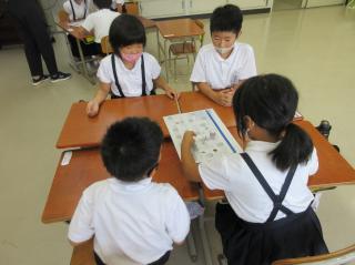 IMG_5163.jpg