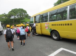 IMG_5352.jpg