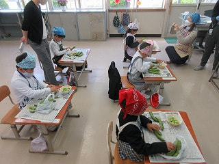 IMG_7904.jpg