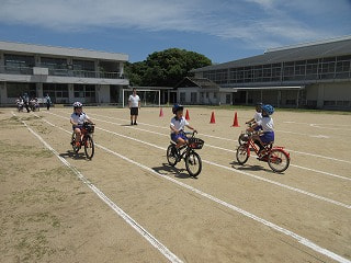 IMG_8081.jpg