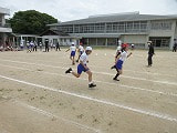 IMG_8147.jpg
