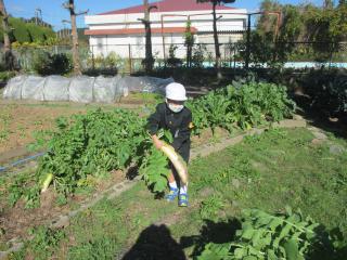 IMG_8282.jpg