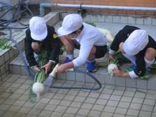 IMG_8287.jpg