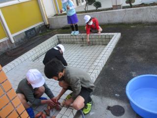 IMG_8694.jpg