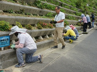 IMG_8958.jpg