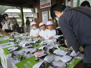 IMG_9196.jpg