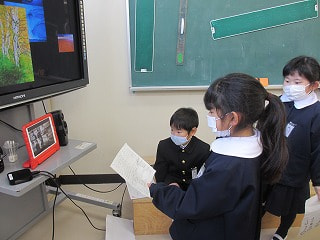 IMG_9937.jpg