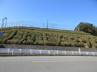 s-IMG_3086.jpg